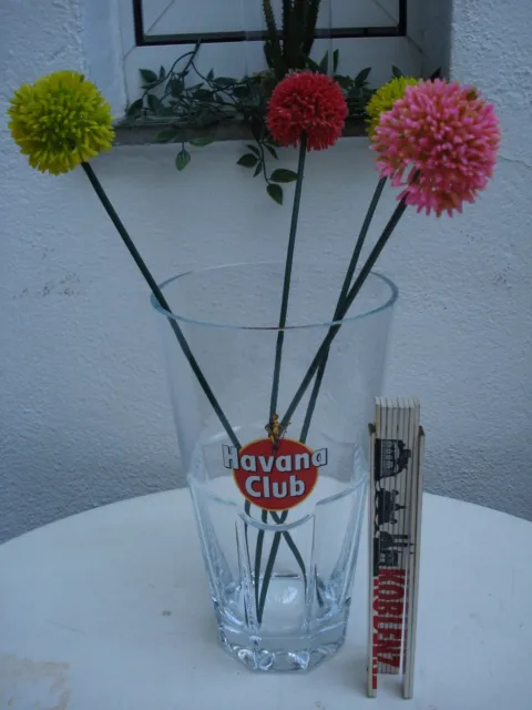 schöne ältere HAVANA CLUB Werbung - riesiges Cocktail Glas - Höhe 30,5 cm -L298