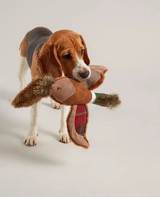 Joules Pheasant Dog Toy