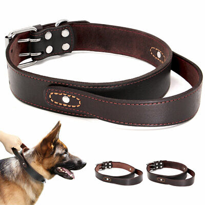 Genuine Leather Dog Collar Heavy Duty with Handle Metal Buckle Medium Large Dogs