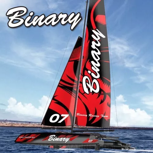 Binary V2 Catamaran Sailboat 2.4G Rtr JOYSWAY 8807