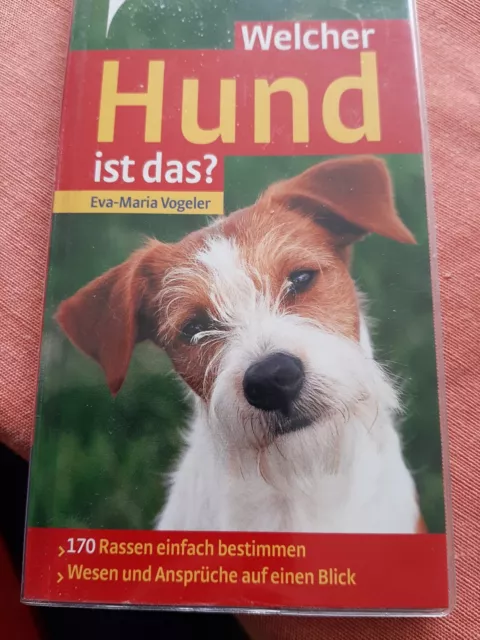 Hunde Und Mehr