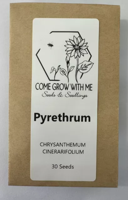 Pyrethrum (CHRYSANTHEMUM CINERARIFOLIUM) Seeds Repels insects 30 Seeds