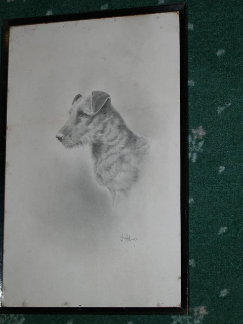 Large Antique Original Irish Terrier Dog Drawing  H.w. Hellings 1922