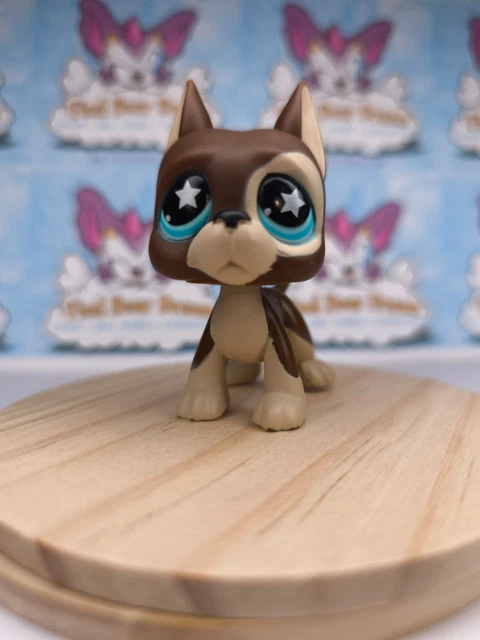 Figurine Littlest Pet Shop – Chien Épagneul 1615 – Hasbro – Occasion