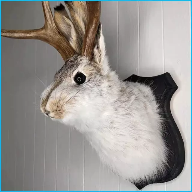 Jackalope Statue Wall Mount Antler Rabbit Head Hang Sculpture Animal Home Décor