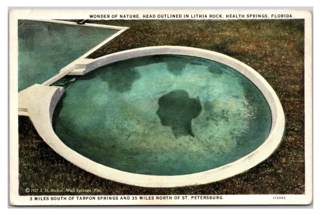 Vintage 1920s- Head In Lithia Rock, Health Springs, Florida Postcard (UnPosted)