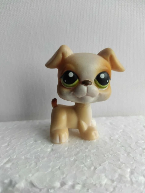 Figurine Littlest Pet Shop LPS #1636 Chow Chow Hasbro - Chien De Collection D'occasion