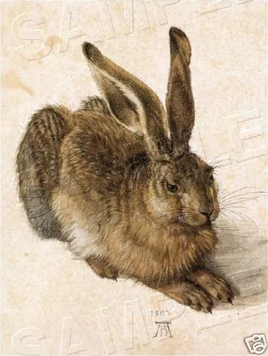 Antique Era Durer Watercolor Young Hare Rabbit Bunny Vintage *Canvas* Art Print