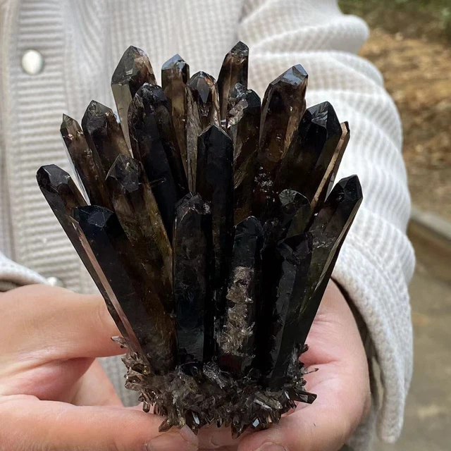 1.23LB  New Find black Phantom Quartz Crystal Cluster Mineral Specimen Healing