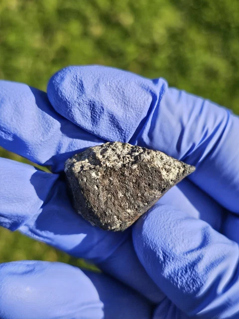 METEORIT**NEUER HERBST, EL Menia**19,345 Gramm einzeln, superfrisch! 03
