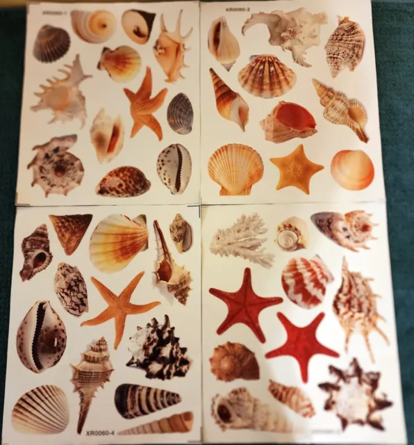 💥Set of 4 Sheets- Large Sea Shells Window/Wall/Furniture DECALS stickers-NEW💥