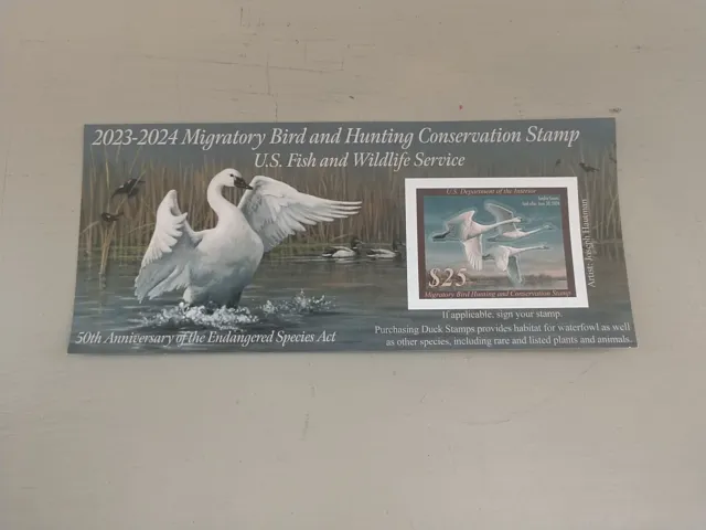 US Federal Duck Stamp 2023-2024 Tundra Swan - Joseph Hautman