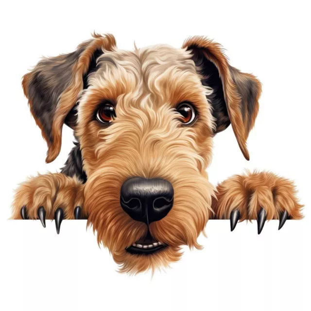 Designer Aufkleber / Sticker Fotosticker - Hunde -  Airedale Terrier Porträt 08
