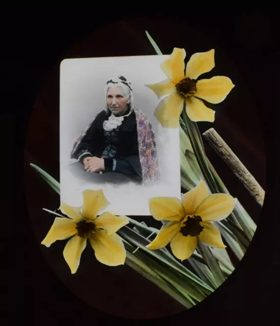 ANTIQUE Magic Lantern Slide MARY OF ARGYLE NO8 C1910 PHOTO BAMFORTH DAFFODILS