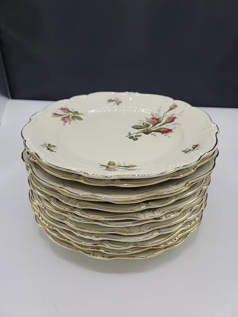 Vintage 1939-56 Rosenthal Selb-Germany Pompadour Moss Rose Dinner Plates Set 4