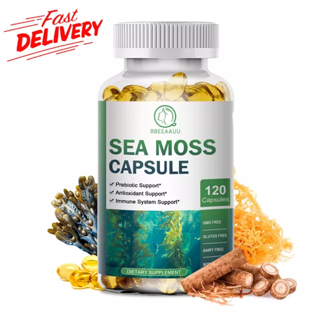 Organic Sea Moss Capsules, Irish Sea Moss bladderwrack & Burdock Root 120 Pills