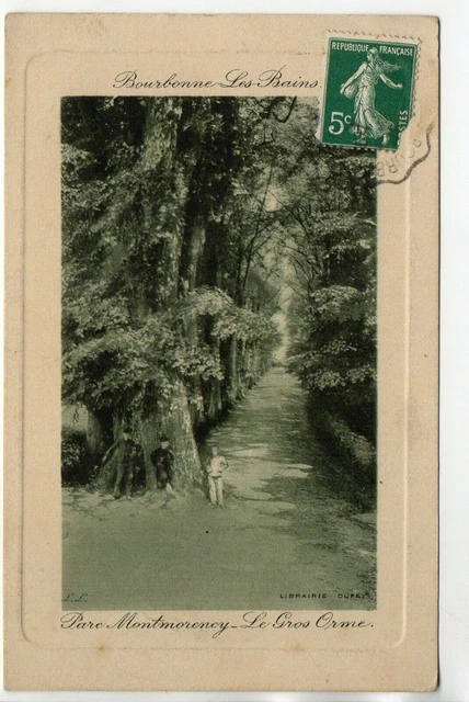 BOURBONNE LES BAINS - Haute Marne - CPA 52 - Parc de Montmorency - le gros Orme