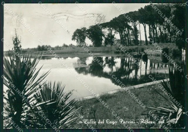 Lucca Viareggio Torre del Lago Puccini Foto FG cartolina KV7963