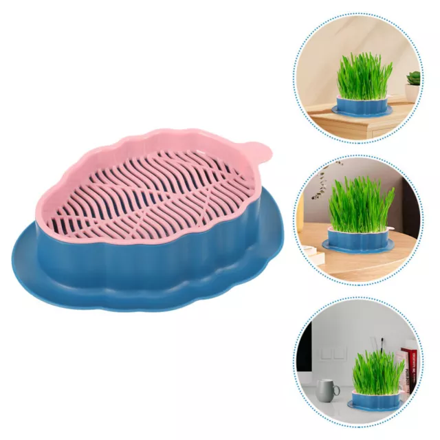Cat Grass Planter Sprouter Tray for Garden and Interactive Cat Toy-