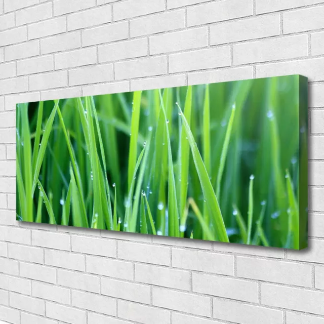 Impression sur toile Image tableaux 125x50 Nature Herbe