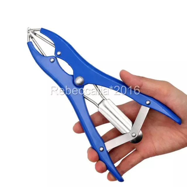 Elastrator Castration Large Plier +100X Rubber Rings Applicator Castrator ring 3