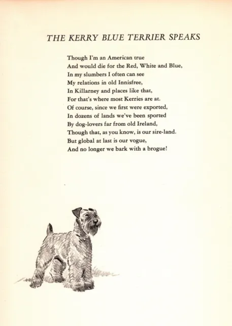 Kerry Blue Terrier Poem Poetry Print 1947 Morgan Dennis Kerry Blue Terrier 4567a