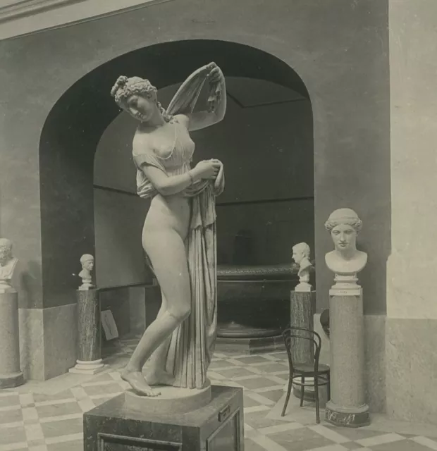 Italie Naples musée de Sculpture Venus Callipyge ancienne photo stereo NPG 1900