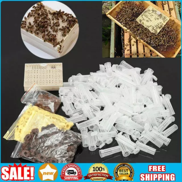 Beekeeping Tool 120pcs Plastic Cell Bee Cup Queen Rearing Kit Cultivating Box