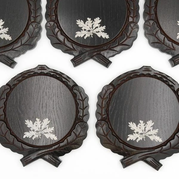 5 Pieza Keilerschilder Tallado Oscuro Af 17,5 CM + 5x 6-blättrigen Hoja de Roble 2