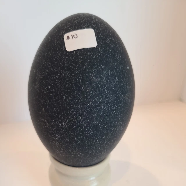 Lote #10 de cáscaras de huevo de emú sopladas con algunas imperfecciones para artesanía