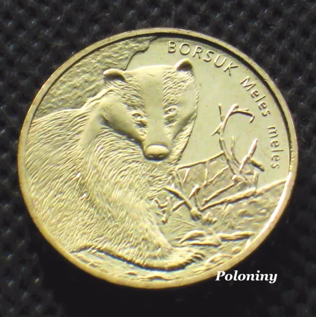 Commemorative Coin Of Poland - Animals Of The World Badger - Borsuk (Mint)