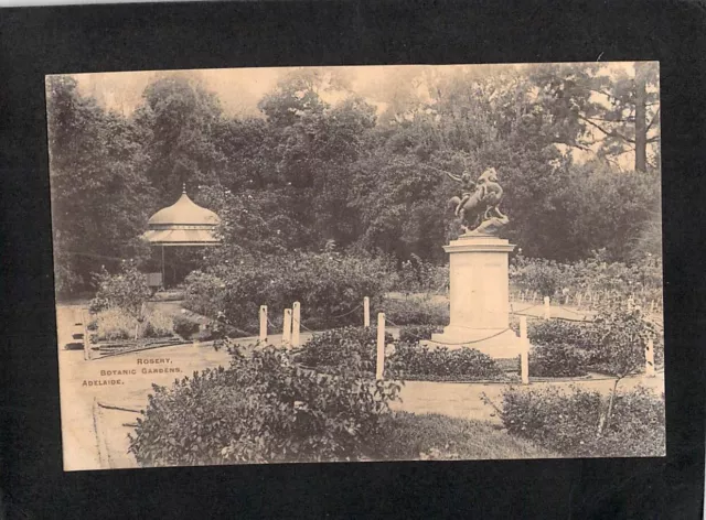 B5055 Australia SA Adelaide Botanic Gardens Rosery vintage postcard