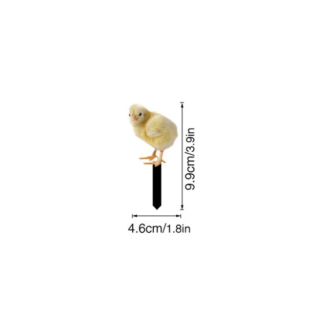 Acrylic Chicken Sign Poles For Outdoor Garden Decoration Garden Statue Farmhouse 3