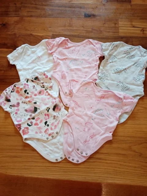 Bundle Of Baby Girl 3-6 months Vests from Next and George