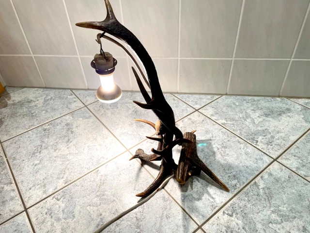Geweih Hirschgeweih Lampe Stehlampe Jagd