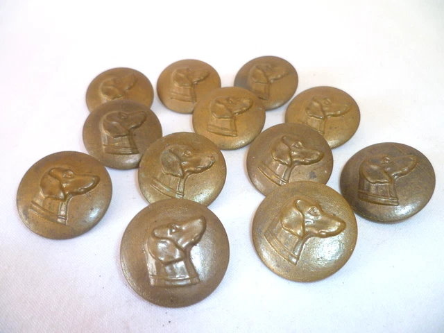4 BOUTONS DE chasse bouton de vénerie têtes d'animaux 10mm laiton TW