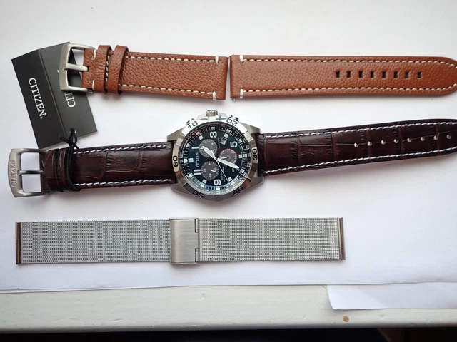 Citizen bl5551 deals