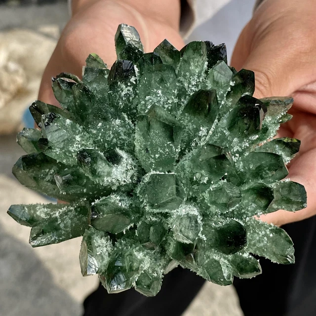1.30LB New Find Green Phantom Quartz Crystal Cluster Mineral Specimen Healing