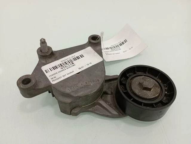 galet tendeur pour PEUGEOT 207 1.4 HDI 2006 456314