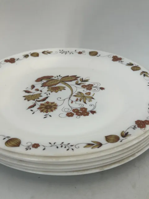 Set x6 Arc Arcopal France Lightweight Brown White Floral Dinner Plates 10"  #LH