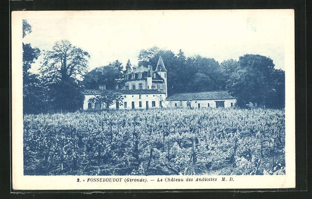 CPA Fosseboudot, Le Chateau des Andiottes