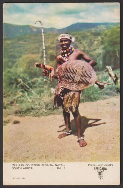 SOUTH AFRICA postcard Zulu in courting regalia, Natal