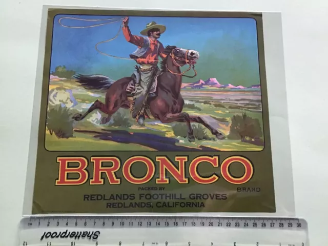 Bronco Brand Vintage American Fruit Advertising  Crate Label  49359