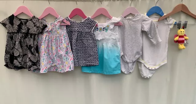Girls bundle of clothes age 6-9 months bluezoo next ladybird
