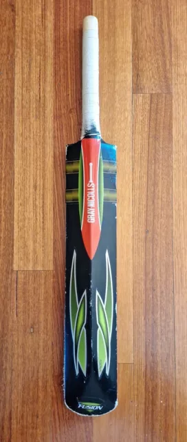 Gray Nicolls Master Fusion cricket bat.