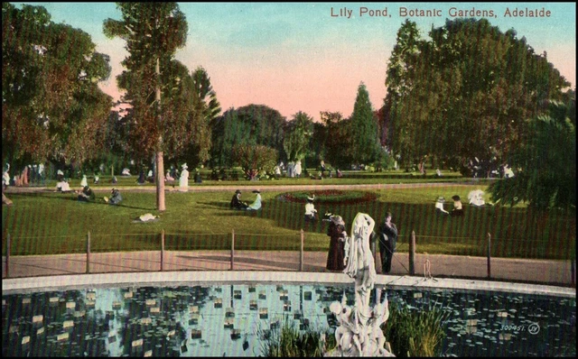 A2757 Australia SA Adelaide Botanic Gardens Lily Pond vintage postcard