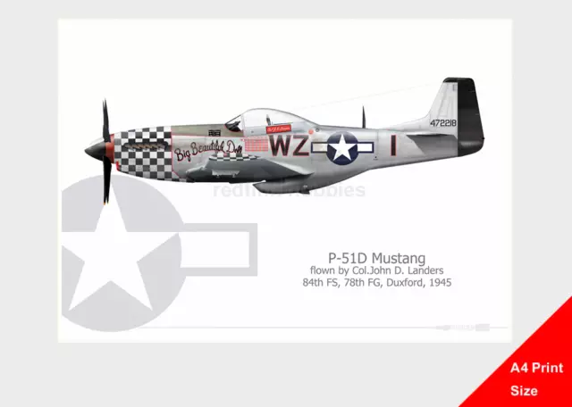 Warhead Illustrated P-51D Mustang Big Beautiful Doll A4 Aircraft Print