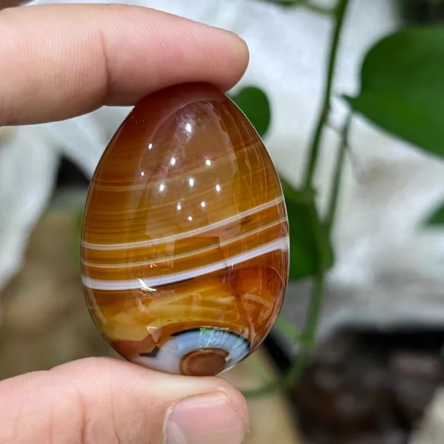 2'' Natural Banded Agate Quartz Hand Carved Egg skull Crystal Reiki healing 1pc