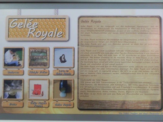 Werbeplakat "Gelee Royal" 36x56cm,Imker,Imkerei,Bienen,bee,Werbeschild,Lehrtafel