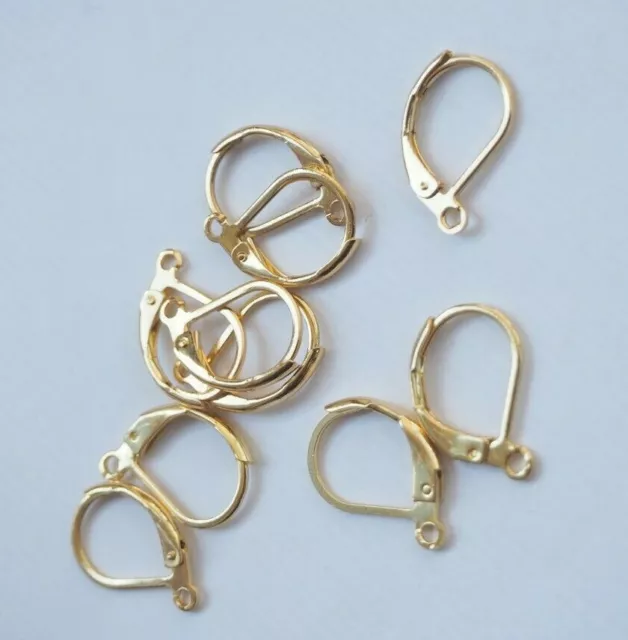 10 x Gold Plated Stainless Steel Lever back Earring Hooks Ear Wires 16x10mm